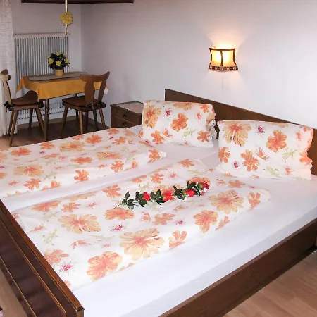 Apartmán Haus Elisabeth 775w Aschau Im Zillertal
